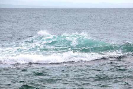 The emerging wave of the sea near the coast.