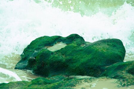 Waves breaking on the stone covered with seaweed. Tinted.の写真素材