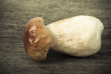 boletus edulis on a wooden table.の写真素材