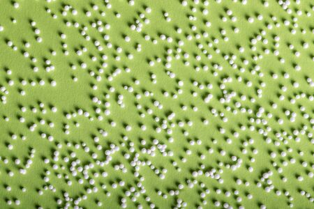 White pieces of foam plastic like snow balls on the green paper background. Closeup.の写真素材