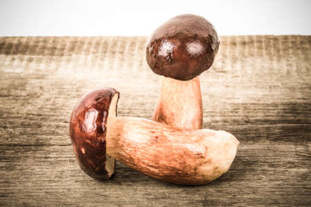 Wild ceps on the background of old wooden board. Toned.の写真素材