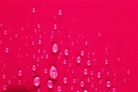 Drops of water on a color background. Pink. Shallow depth of field. Selective focus.の写真素材