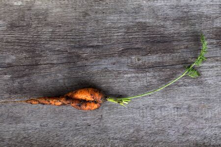 Dirty fresh carrot on old grey wooden background.