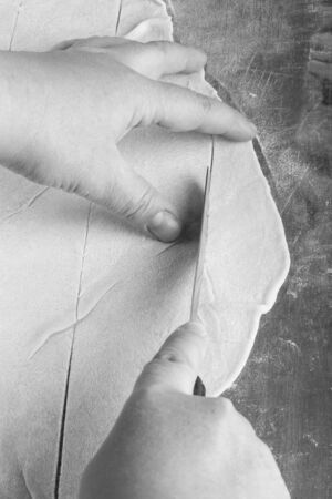 Womens hands in a process of preparing of dough for lagman. Toned.の写真素材