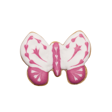 Homemade gingerbread cookie with colored frosting isolated on a white background.の写真素材