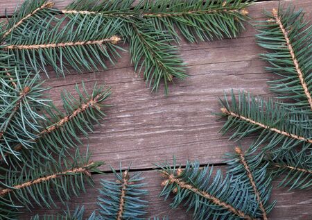 Christmas tree branch on a wooden table or board for background. New year theme.