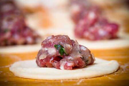 Pelmeni - Russian ravioli. Cooking process. Selective focus. Toned.の写真素材