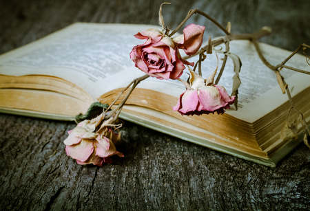 Old opened book and dry flower - romantic composition on a old grey wooden background. Selective focus. Toned.の写真素材