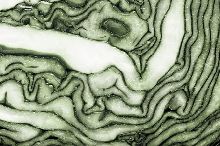 Red cabbage texture. Vegetable natural background. Toned.の写真素材