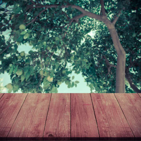Lemon tree over old dark wooden table or board. Blue sky like natural background. Collage. Selective...