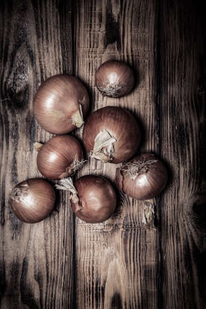 Fresh onion on old wooden burned table or board for background. Toned.の写真素材