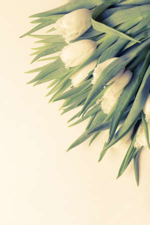 Bunch of spring tulips on the table. Toned.の写真素材