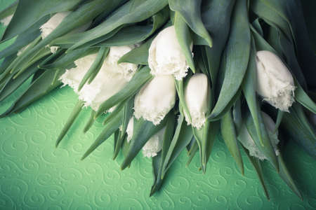 Bunch of spring tulips on the table. Selective focus. Toned.の写真素材