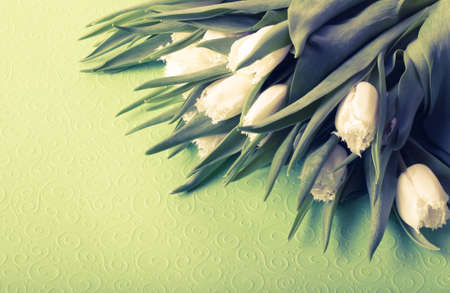 Bunch of spring tulips on the table. Toned.の写真素材