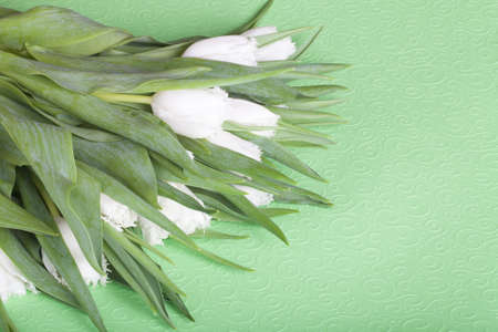 Bunch of spring tulips on the table.の写真素材