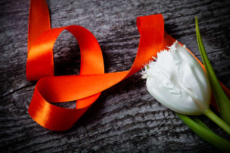 Fresh spring tulip close up with orange ribbon on old gray wooden board for background. Toned.の写真素材