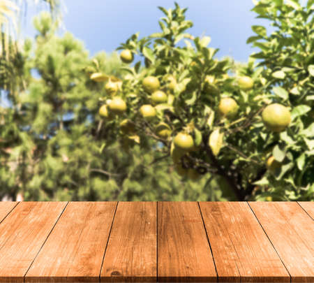 Lemon tree over old wooden table or board. Collage. Selective Focus. Toned.の写真素材