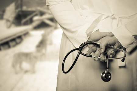 The doctor put his hands with stethoscope behind his back on a blurred background. Toned.の写真素材