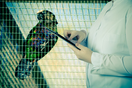 A woman in a white uniform robe with electronic device in her hands in front of a blurred background. Toned.の写真素材