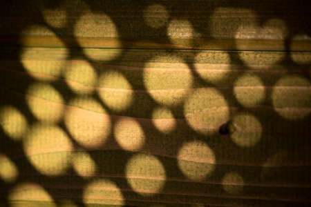 Abstract round shadow on wooden wall for background. Selective focus. Shallow depth of field.の写真素材