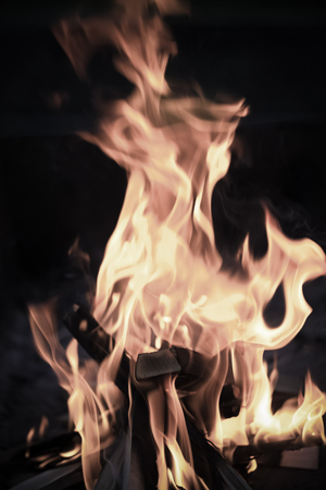 Bright flame of bonfire. Defocused. Toned.