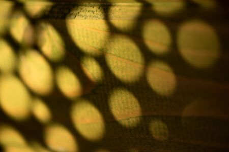 Abstract round shadow on wooden wall for background. Selective focus. Shallow depth of field.の写真素材