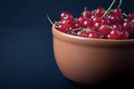 Currant berries in a clay bowl on black background. Selective focus. Shallow depth of field. Toned.の写真素材