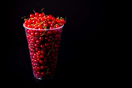 Currant berries in a plastic glass on black background. Toned.の写真素材