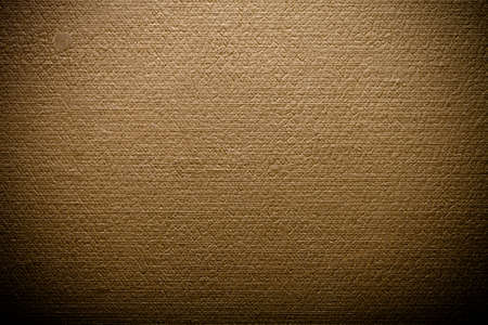 Surface of leatherette for textured background. Toned.
