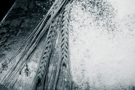 Wheat ears and sprinkle flour on black background. Toned.の写真素材