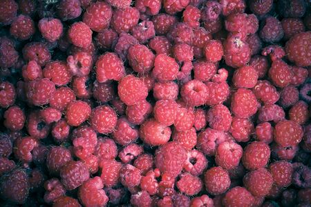 Lots of fresh bright red raspberries. Toned.の写真素材