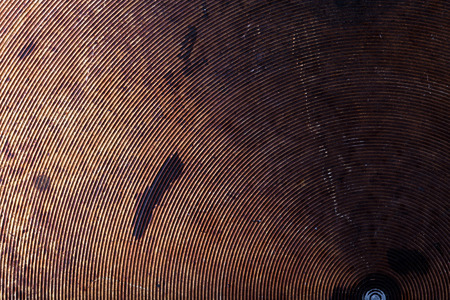 The bottom of the old metal frying pan.の写真素材