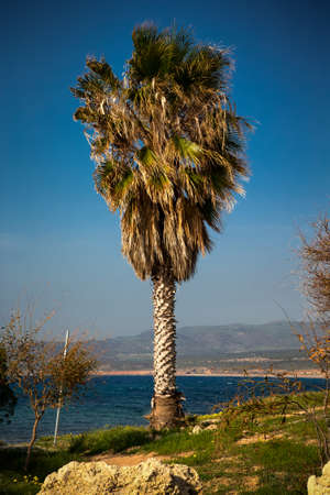 Beautiful sea landscape on a Cyprus. Toned.の写真素材