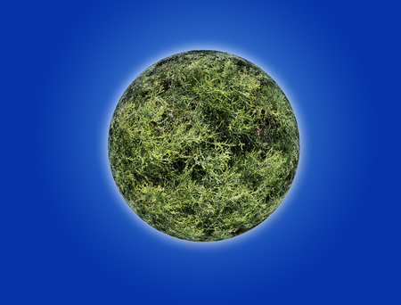 Planet with texture of natural grass. Collage.