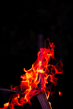Bright flame of bonfire. Defocused. Toned.