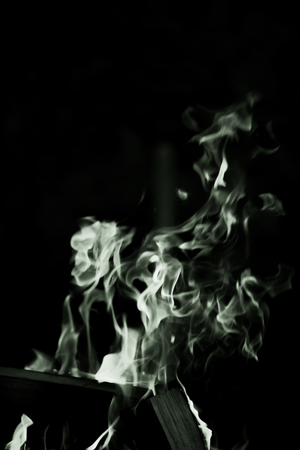 Bright flame of bonfire. Defocused. Toned.