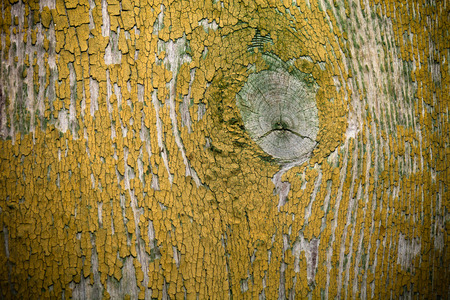 Old wooden planks with peeling paint like background. Toned.の写真素材