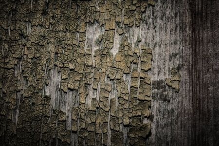Old wooden planks with peeling paint like background. Toned.