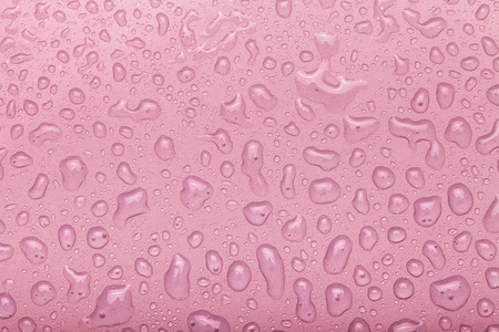 Drops of water on a color background. Pink. Selective focus. Toned.の写真素材