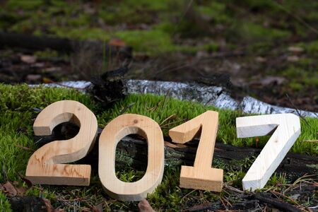 Figures 2017 in the forest. Christmas theme.の写真素材
