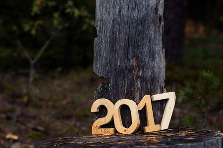 Figures 2017 in the forest. Christmas theme. Toned.
