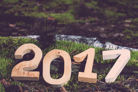 Figures 2017 in the forest. Christmas theme. Toned.の写真素材