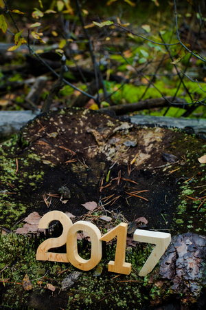 Figures 2017 on an old stump in the woods. Christmas theme. Shallow depth of field. Selective focus. Toned.の写真素材