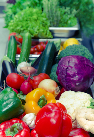 Set of fresh vegetables and herbs. Selective focus. Shallow depth of field. Toned.の写真素材