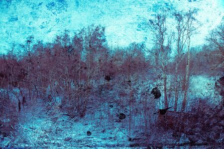 Winter in the forest. Fantasy art processing of photos for a collage. Toned.の写真素材