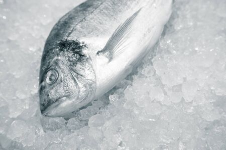 Fresh fish on a surface of pile of ice in fish restaurant. Selective focus. Shallow depth of field....