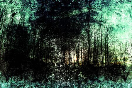 Winter in the forest. Fantasy art processing of photos for a collage. Toned.の写真素材