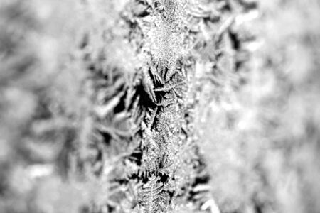 Beautiful nature pattern on frosted glass. Fantasy art processing of photos for a collage. Selective focus.の写真素材