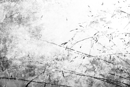 Winter in the forest. Fantasy art processing of photos for a collage.の写真素材