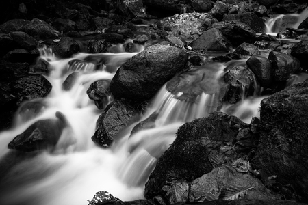 Stormy mountain river in a beautiful autumn landscape in Svaneti. Georgia. Toned.